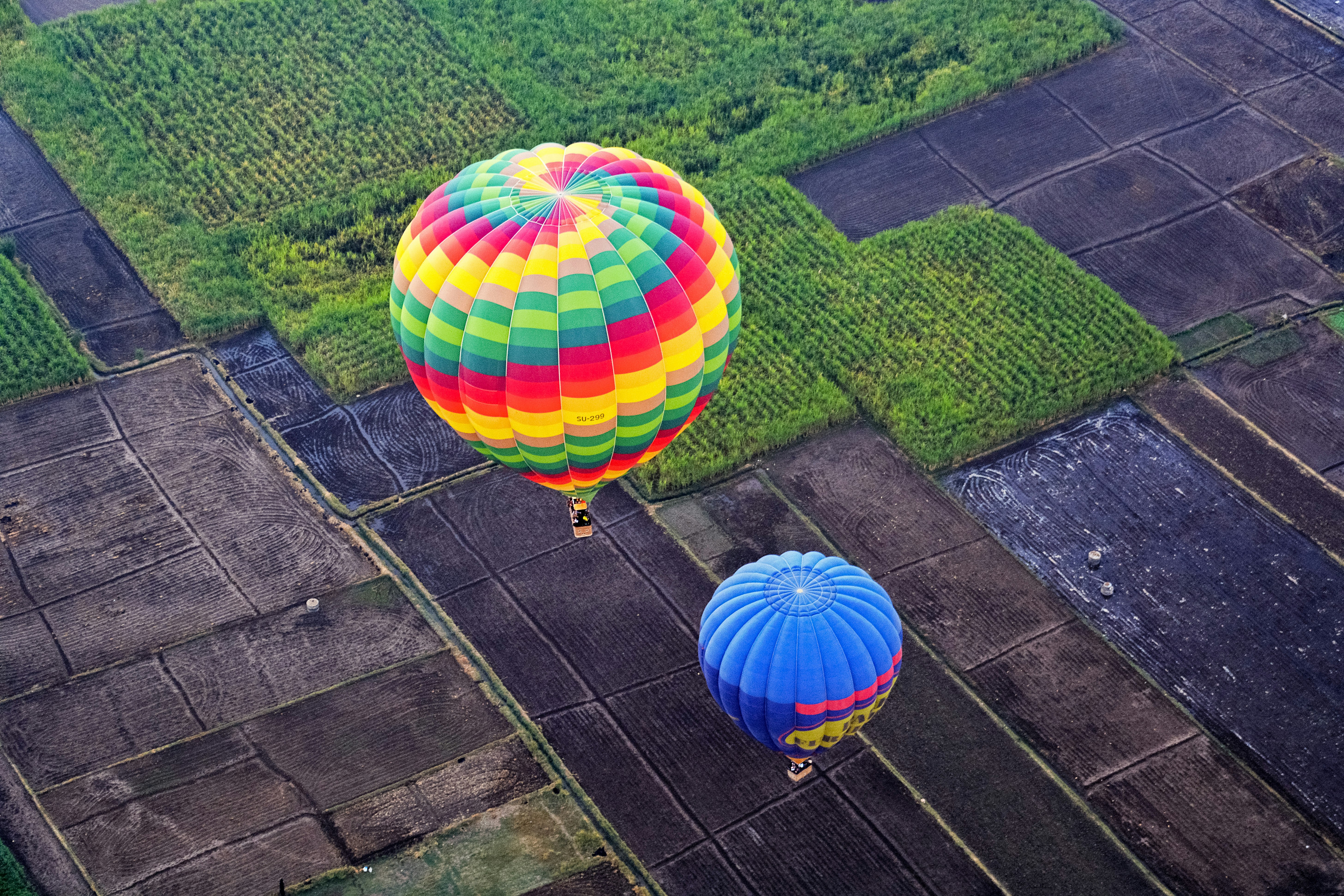 green yellow blue and pink hot air balloon on green grass field